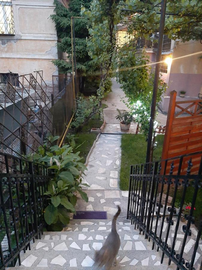 Piccola Italia Casa Racovita Cluj-Napoca Exterior foto